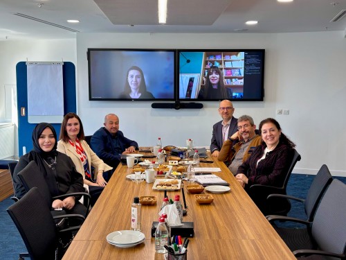 İleri Tedaviler ve İnovasyona Erişim Çalışma Grubu Toplantısı