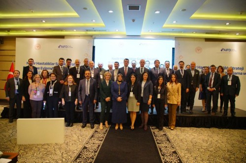 Nadir Hastalıklar Sağlık Strateji Belgesi ve Eylem Planı Uygulama ve İş Birliği Çalıştayı